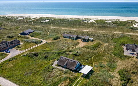 Klimentina - 150M from the Sea: Plant Community, Sunlight, Herbaceous Plant, Garden, Plantation, Agriculture, Farm
