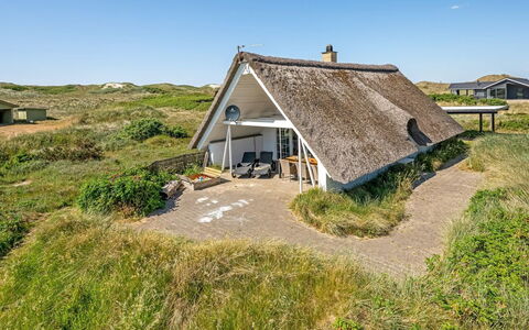 Klimentina - 150M from the Sea: Plant Community, Sunlight, Herbaceous Plant, Garden, Plantation, Agriculture, Farm