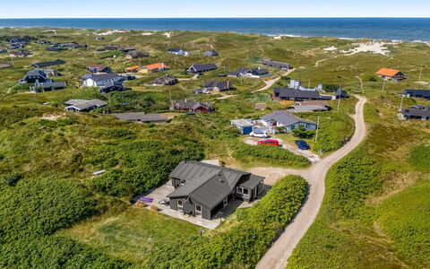 Talia - from the Sea: Plant Community, Sunlight, Herbaceous Plant, Garden, Plantation, Agriculture, Farm