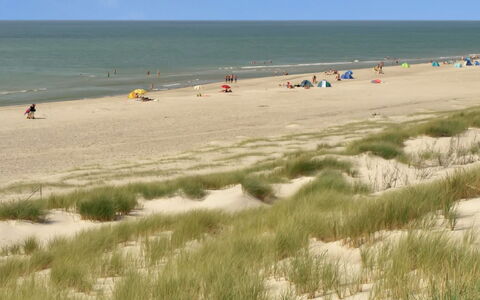 Holte - 700M to the Fjord: Natural Environment, Beach, Coast, Sand, Ecoregion, Summer, Sea, Shore, Coastal And Oceanic Landforms, Ocean