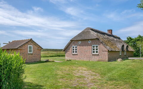 Vangja - 700M to the Fjord: Grass, House, Roof, Home, Cottage, Shrub, Land Lot, Rural Area, Farmhouse, Groundcover