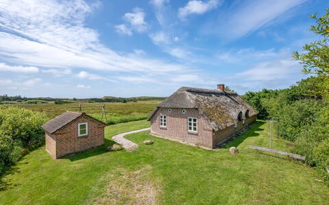 Vangja - 700M to the Fjord: Grass, House, Roof, Home, Cottage, Shrub, Land Lot, Rural Area, Farmhouse, Groundcover