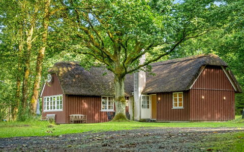Fina - 15Km from the Sea: Cottage, Home, House, Roof, Porch, Estate, Siding, Garden Buildings, Farmhouse, Yard