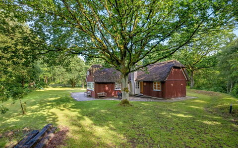 Fina - 15Km from the Sea: Cottage, Home, House, Roof, Porch, Estate, Siding, Garden Buildings, Farmhouse, Yard