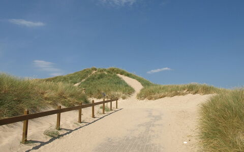 Agga - 200M from the Sea: Ecoregion, Landscape, Trail, Sand, Slope, Walkway, Soil