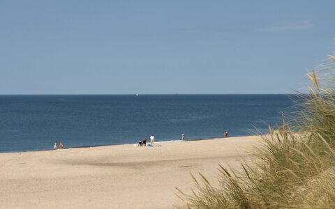 Cristine - 400M from the Sea: Blue, Body Of Water, Beach, Coast, Horizon, Sea, Coastal And Oceanic Landforms, Shore, Sand, Ocean