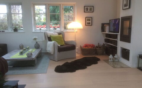 Amine - 700M from the Sea: Furniture, Interior Design, Flooring, Floor, Wood Flooring, Wood, Couch, Living Room, Room, Lighting