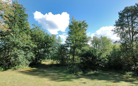 Borica - 100M from the Sea: Building, House, Window, Home, Roof, Residential Area, Shrub, Cottage, Land Lot