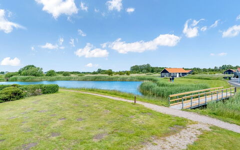 Birtir - 1.2Km from the Sea: Grass, House, Roof, Home, Cottage, Shrub, Land Lot, Rural Area, Farmhouse, Groundcover