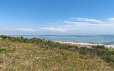 Auke - 100M from the Sea