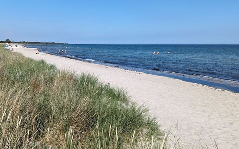 Engli - 90M from the Sea: Blue, Beach, Coast, Sea, Shore, Coastal And Oceanic Landforms, Summer, Ocean, Sand, Wind Wave
