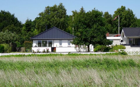 Mayla - 50M from the Sea: Plant Community, Sunlight, Herbaceous Plant, Garden, Plantation, Agriculture, Farm