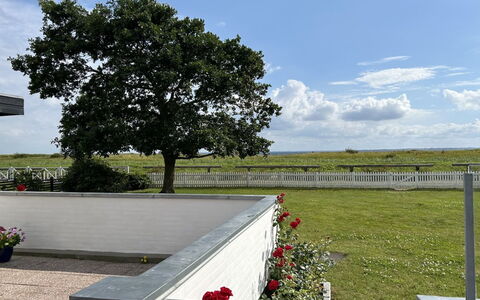 Mayla - 50M from the Sea: Plant Community, Sunlight, Herbaceous Plant, Garden, Plantation, Agriculture, Farm
