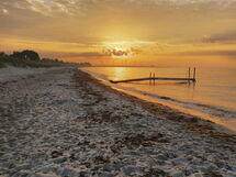 Fritsa - 450M from the Sea