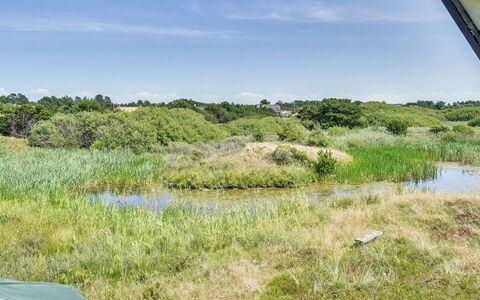 Inra - 400M from the Sea: Plant Community, Sunlight, Herbaceous Plant, Garden, Plantation, Agriculture, Farm