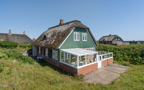 Mattias - 100M from the Sea: Grass, Grassland, Landscape, Ecoregion, Plain, Plant Community, Land Lot, Outdoor Furniture, Prairie, Shrubland