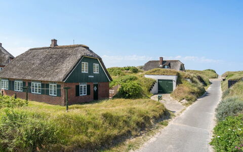 Mattias - 100M from the Sea: Grass, Grassland, Landscape, Ecoregion, Plain, Plant Community, Land Lot, Outdoor Furniture, Prairie, Shrubland