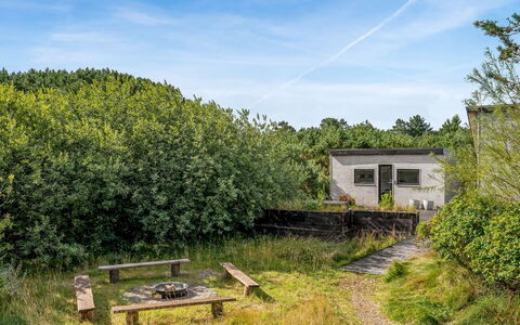 Julie - 1.5Km from the Sea: Vegetation, Shrub, Plant Community, Land Lot, Rural Area, Groundcover, Garden, Meadow, Shrubland