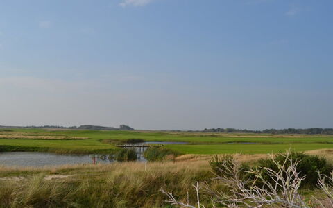 Akim - 2Km from the Sea: Sky, Green, Natural Environment, Natural Landscape, Grassland, Marsh, Plain, Ecoregion, Horizon