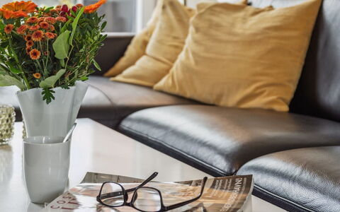 Akim - 2Km from the Sea: Furniture, Interior Design, Couch, Living Room, Flowerpot, Table, Vase, Cut Flowers, Lighting, Flooring