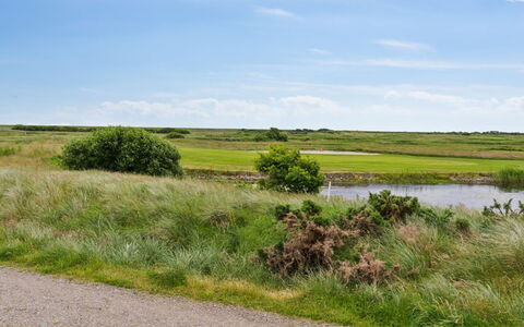 Akim - 2Km from the Sea: Sky, Green, Grass, Natural Environment, Grassland, Natural Landscape, Vegetation, Ecoregion, Cloud