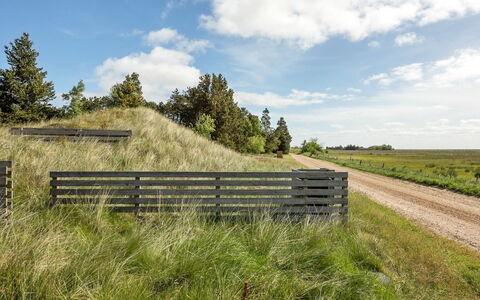 Jorinde - 2.8Km from the Sea: Grass, Grassland, Vegetation, Natural Landscape, Ecoregion, Landscape, Plant Community, Land Lot, Plain, Cloud