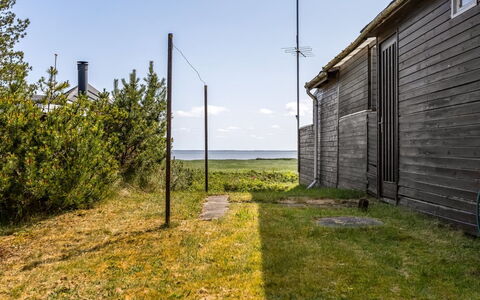 Eevke: 