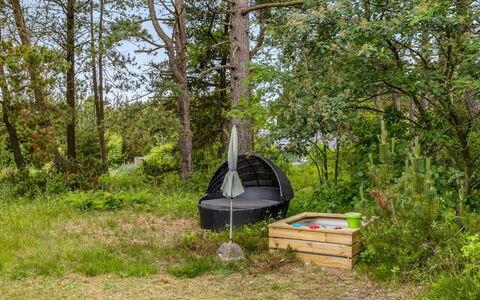 Saxi - 2.6Km from the Sea: Natural Environment, Plant Community, Camping, Trunk, Woodland, Forest, Garden, Lawn, Park, Shade