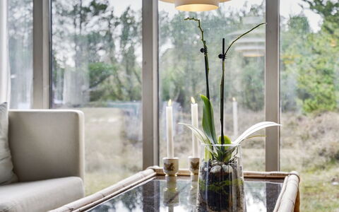 Saxi - 2.6Km from the Sea: Furniture, Interior Design, Chair, Flooring, Table, Resort, Floor, Ceiling, Room, Eco Hotel