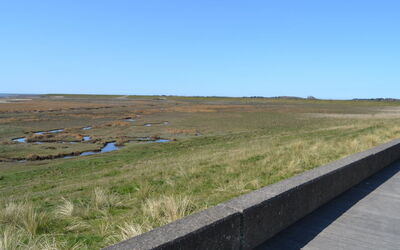 Leto - 2Km from the Sea