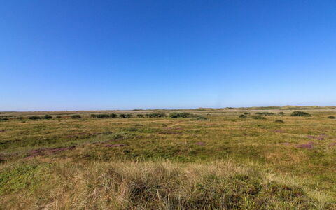 Alim - 300M from the Sea: Estate, Farm