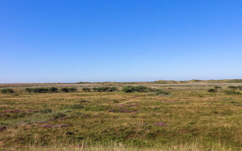 Alim - 300M from the Sea: Estate, Farm