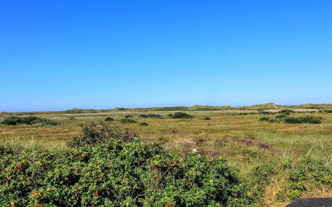 Alim - 300M from the Sea: Cottage, Shed, Hut, Farmhouse, Prairie, Shack, Barn, Log Cabin, Garden Buildings