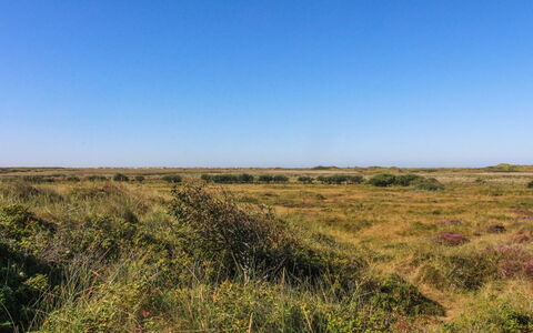 Alim - 300M from the Sea: Cottage, Shed, Hut, Farmhouse, Prairie, Shack, Barn, Log Cabin, Garden Buildings