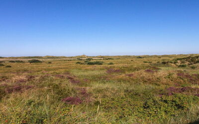 Alim - 300M from the Sea