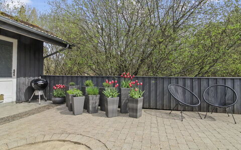 Vieno - 2.6Km from the Sea: Shrub, Flowerpot, Garden, Groundcover, Backyard, Yard, Houseplant, Landscaping, Courtyard