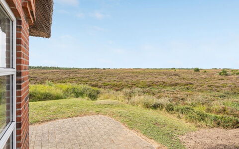 Dietmar - 2.8Km from the Sea: Ecoregion, Plain, Steppe, Prairie, Shrubland, Ranch, Chaparral