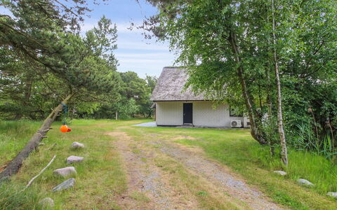 Vendela - 2.5Km from the Sea: Grass, Tree, Grassland, House, Cottage, Land Lot, Rural Area, Home, Plain, Meadow