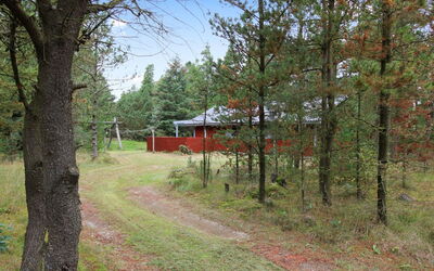 Susett - 300M to the Fjord