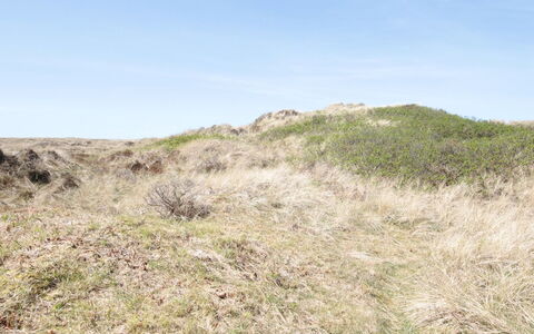 Aise - 75M from the Sea: Roof, Land Lot, Cottage, Home, Rural Area, Shed, Siding, Garden Buildings, Log Cabin, Hut