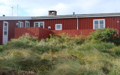 Aukusti - 600M from the Sea: Grass, Shrub, Land Lot, Plant Community, Plain, Groundcover, Soil, Backyard, Yard, Siding