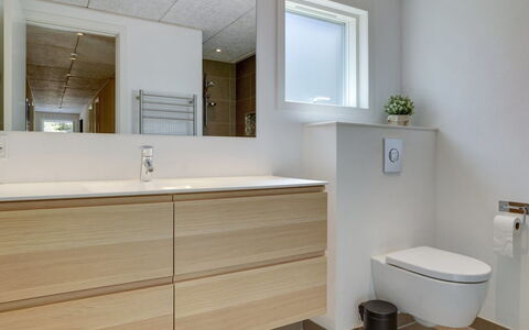 Delan - 1.3Km from the Sea: Bathroom, Flooring, Plumbing Fixture, Bathroom Sink, Floor, Interior Design, Bathroom Cabinet, Sink, Toilet, Plumbing
