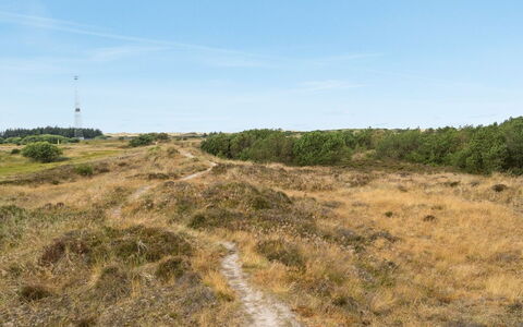 Reiko - 1.5Km from the Sea: Sky, Grass, Natural Environment, Grassland, Vegetation, Ecoregion, Horizon, Plant Community, Wilderness, Land Lot