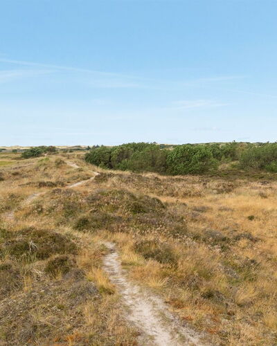 Reiko - 1.5Km from the Sea