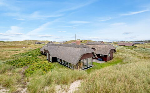 Nicolaus - from the Sea: Grass, House, Roof, Home, Cottage, Shrub, Land Lot, Rural Area, Farmhouse, Groundcover