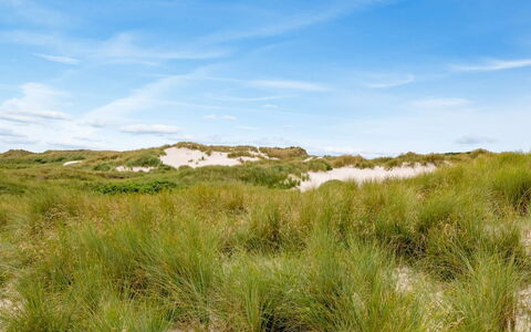 Nicolaus - from the Sea: Grass, House, Roof, Home, Cottage, Shrub, Land Lot, Rural Area, Farmhouse, Groundcover
