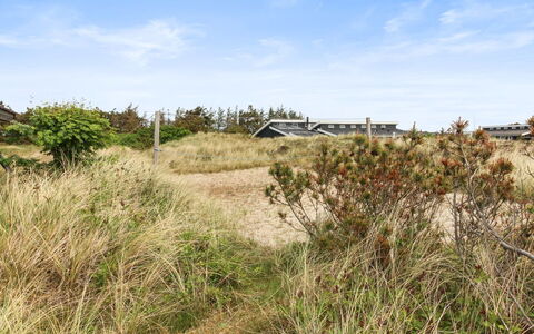 Svenne - 500M from the Sea: Plant Community, Sunlight, Herbaceous Plant, Garden, Plantation, Agriculture, Farm