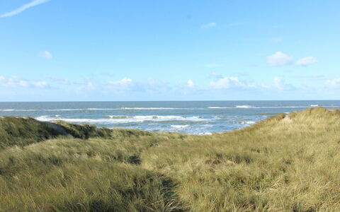 Laetitita - from the Sea: Sky, Blue, Horizon, Ecoregion, Cloud, Coast, Sea, Coastal And Oceanic Landforms, Grassland, Ocean