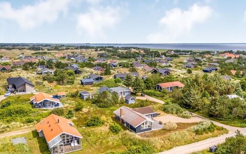 Gedda - 700M from the Sea: Plant Community, Sunlight, Herbaceous Plant, Garden, Plantation, Agriculture, Farm