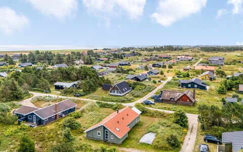 Gedda - 700M from the Sea: Plant Community, Sunlight, Herbaceous Plant, Garden, Plantation, Agriculture, Farm